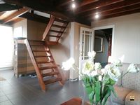 Appartement - TONGEREN-BORGLOON
