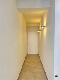 Appartement - TONGEREN-BORGLOON