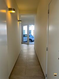Appartement - TONGEREN-BORGLOON