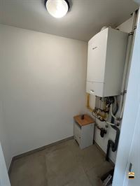 Appartement - TONGEREN-BORGLOON