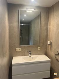Appartement - TONGEREN-BORGLOON