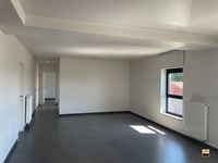 Appartement - TONGEREN-BORGLOON