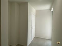 Appartement - TONGEREN-BORGLOON