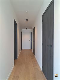 Appartement - BORGLOON