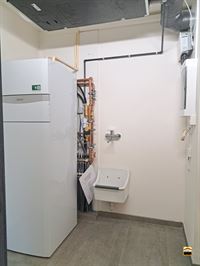 Appartement - BORGLOON