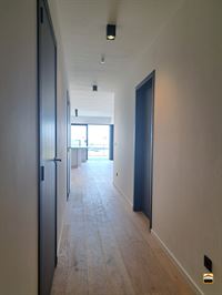 Appartement - BORGLOON
