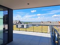 Appartement - BORGLOON