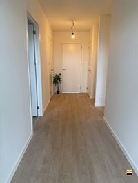 Appartement - TONGEREN-BORGLOON
