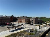 Appartement - TONGEREN-BORGLOON