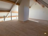 Appartement - TONGEREN-BORGLOON