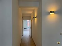 Appartement - TONGEREN-BORGLOON