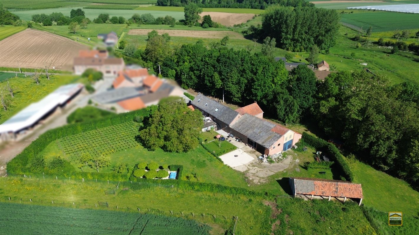 Hoeve - TONGEREN-BORGLOON