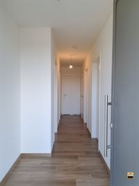 Appartement - BORGLOON