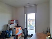 Appartement - BORGLOON
