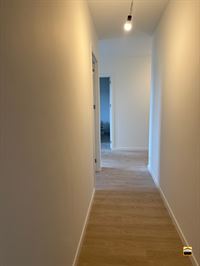 Appartement - TONGEREN-BORGLOON