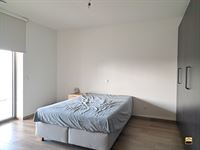 Appartement - BORGLOON