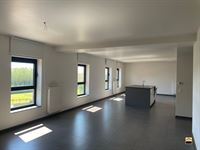 Appartement - TONGEREN-BORGLOON