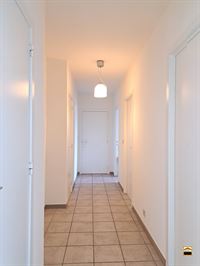 Appartement - TONGEREN-BORGLOON