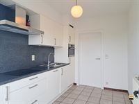 Appartement - TONGEREN-BORGLOON