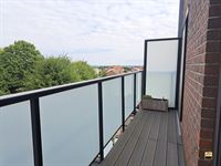 Appartement - TONGEREN-BORGLOON