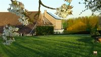 Handelspand met woonst - WELLEN