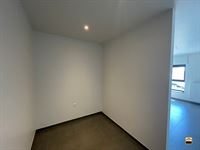 Appartement - TONGEREN-BORGLOON