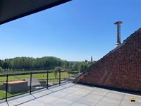 Appartement - TONGEREN-BORGLOON