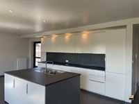 Appartement - TONGEREN-BORGLOON