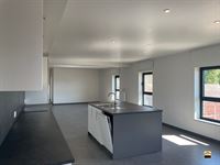 Appartement - TONGEREN-BORGLOON