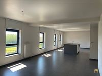 Appartement - TONGEREN-BORGLOON