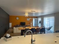 Appartement - TONGEREN-BORGLOON