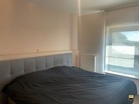 Appartement - TONGEREN-BORGLOON
