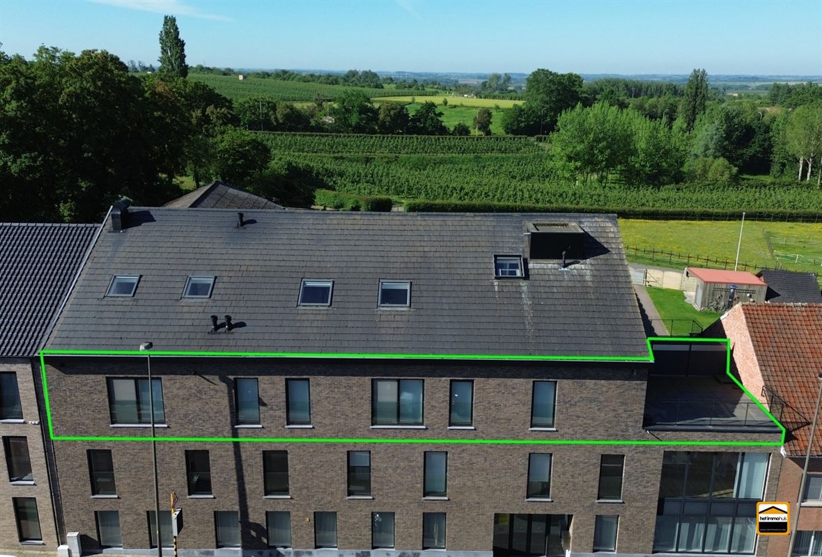 Appartement - TONGEREN-BORGLOON
