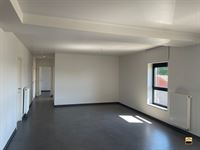 Appartement - TONGEREN-BORGLOON