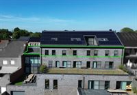 Appartement - TONGEREN-BORGLOON