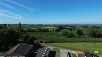 Appartement - TONGEREN-BORGLOON