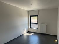 Appartement - TONGEREN-BORGLOON
