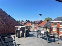 Appartement - TONGEREN-BORGLOON