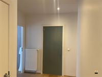 Appartement - TONGEREN-BORGLOON