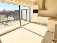 Appartement - TONGEREN-BORGLOON