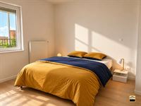 Appartement - TONGEREN-BORGLOON