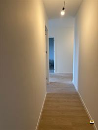 Appartement - TONGEREN-BORGLOON