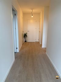 Appartement - TONGEREN-BORGLOON