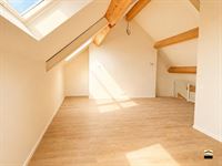 Appartement - TONGEREN-BORGLOON