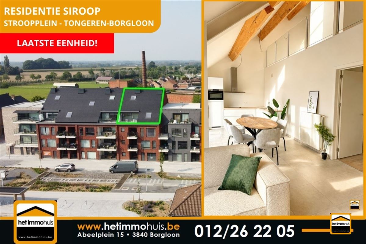 Appartement - TONGEREN-BORGLOON