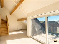 Appartement - TONGEREN-BORGLOON