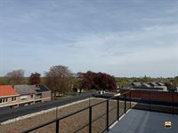 Appartement - BORGLOON