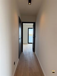 Appartement - BORGLOON