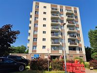Appartement - HASSELT