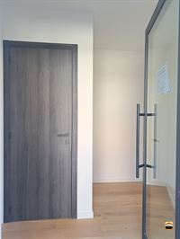 Appartement - BORGLOON